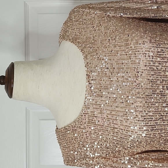 PRESTON & YORK WOMAN'S  SEQUINED DRESS.  SIZE 8 - Picture 2 of 11